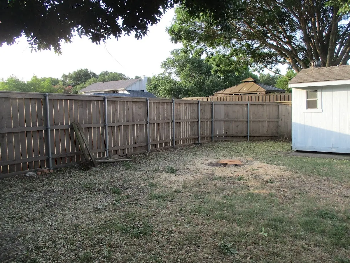 Cleared yard after professional tree removal in Los Ebanos